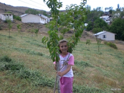 Karaca Gezisi